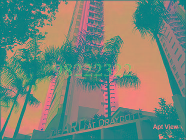 The Arc at Draycott (D10), Apartment #68872802